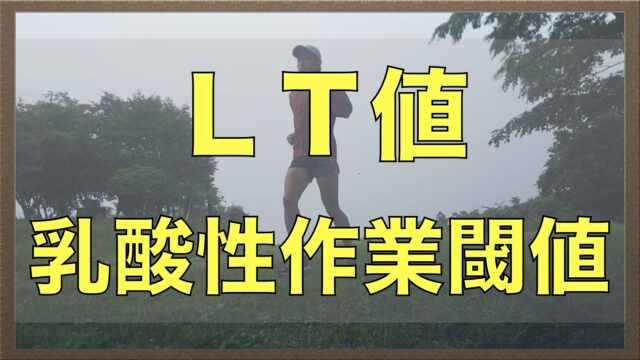 【マラソン】LT値(乳酸性作業閾値)とは？具体的なトレーニング方法も解説